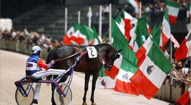 Ippica in lutto, è morto Varenne: addio al Capitano diventato leggenda per le sue straordinarie vittorie in tutto il mondo