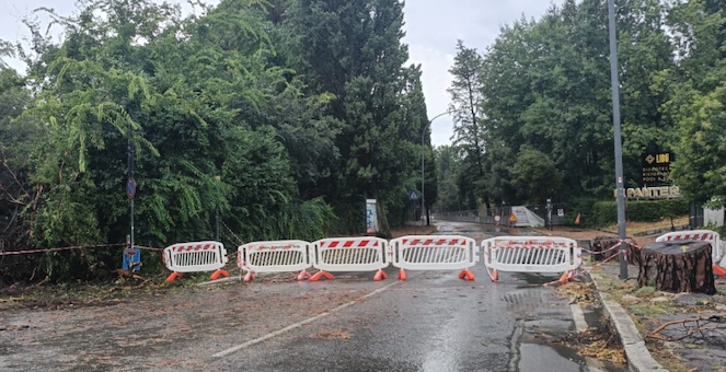 Ingenti danni a Montecatini e Valdinievole per i violenti temporali: tetti scoperchiati, alberi abbattuti, strade chiuse e case senza energia elettrica