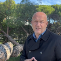 Cade un grosso pino nella zona dello stadio: nessun danno a cose o persone. Sopralluogo del sindaco
