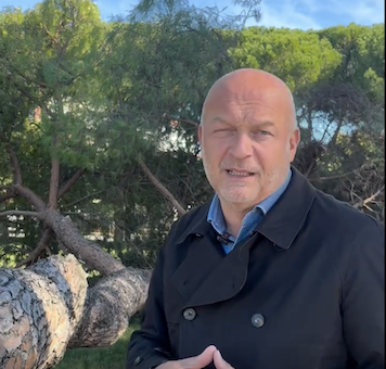 Cade un grosso pino nella zona dello stadio: nessun danno a cose o persone. Sopralluogo del sindaco